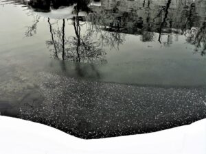 佐藤武写真展